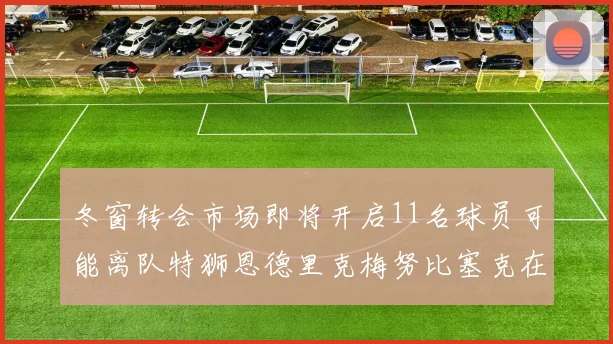 冬窗转会市场即将开启11名球员可能离队特狮恩德里克梅努比塞克在列