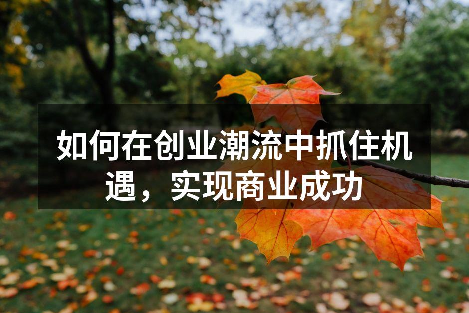 如何在创业潮流中抓住机遇，实现商业成功
