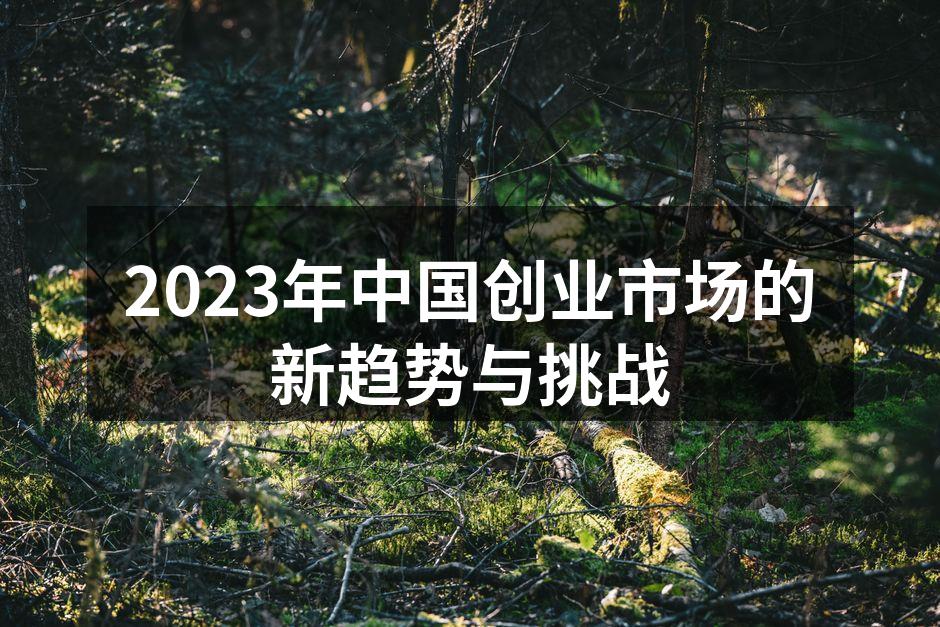 2023年中国创业市场的新趋势与挑战